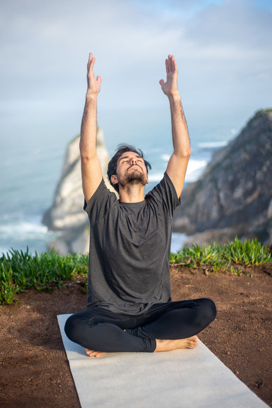 Why do sunlight, cold water, and breath change the mind?