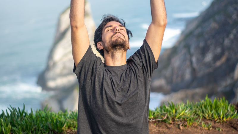 Why do sunlight, cold water, and breath change the mind?