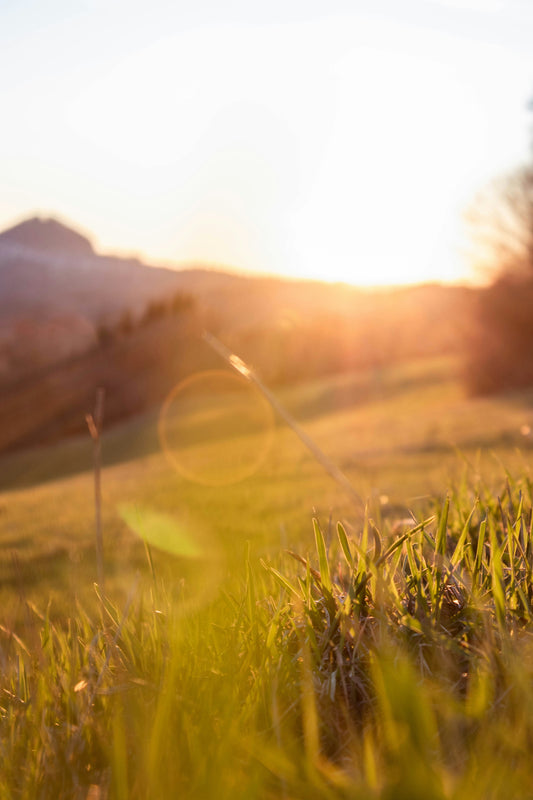 sunrays over the green hills 