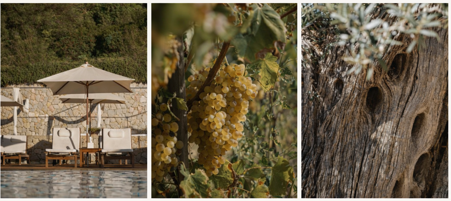Son Brull boutique hotel in Mallorca surrounded by vineyards and mountains